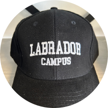 Black Labrador Campus hat